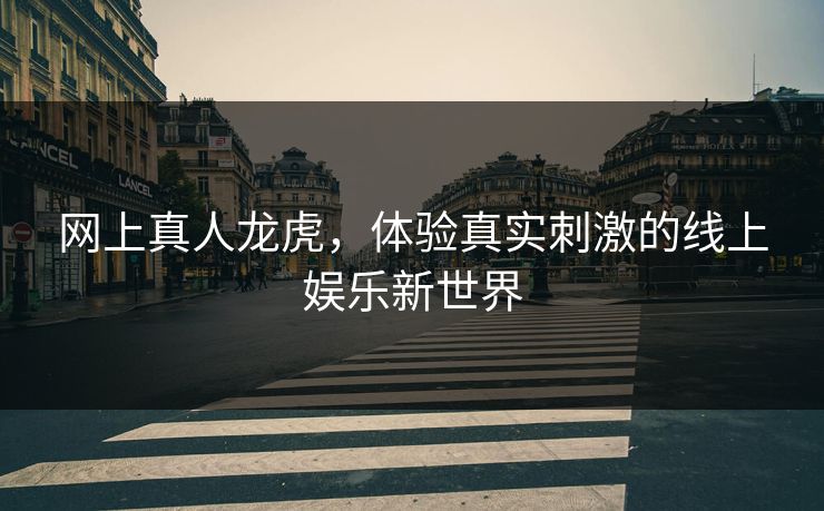 网上真人龙虎，体验真实刺激的线上娱乐新世界