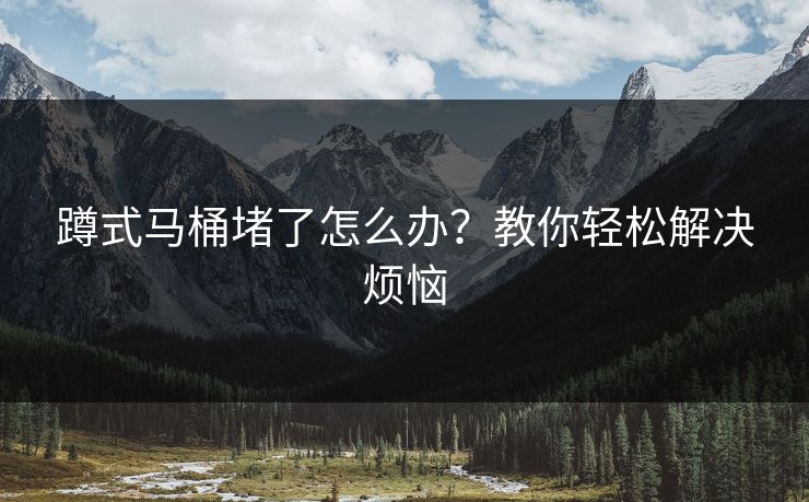 蹲式马桶堵了怎么办?教你轻松解决烦恼 蹲式马桶堵了怎么办?教你轻松解决烦恼