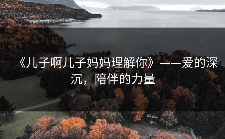 《儿子啊儿子妈妈理解你》——爱的深沉，陪伴的力量