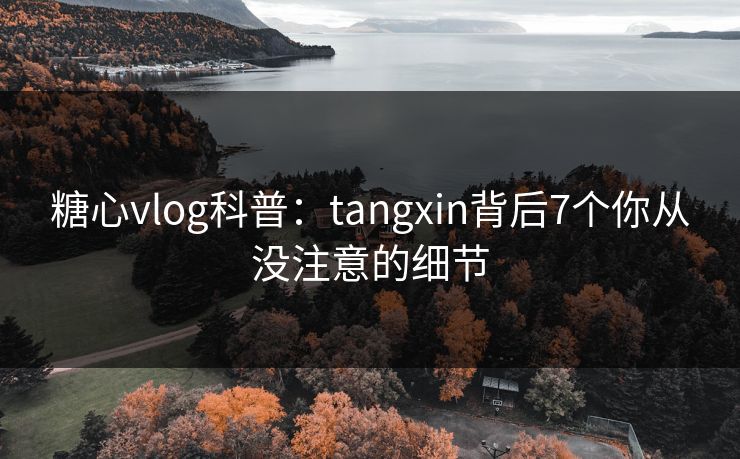 糖心vlog科普:tangxin背后7个你从没注意的细节 糖心vlog科普:tangxin背后7个你从没注意的细节