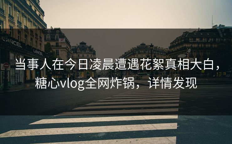 当事人在今日凌晨遭遇花絮真相大白，糖心vlog全网炸锅，详情发现