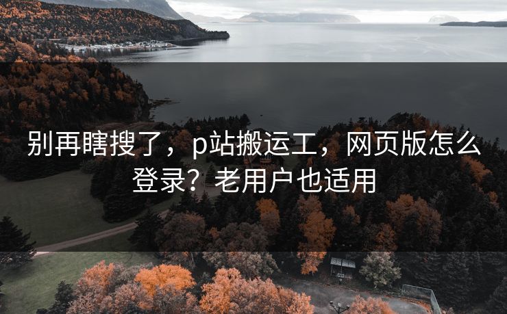 别再瞎搜了，p站搬运工，网页版怎么登录？老用户也适用