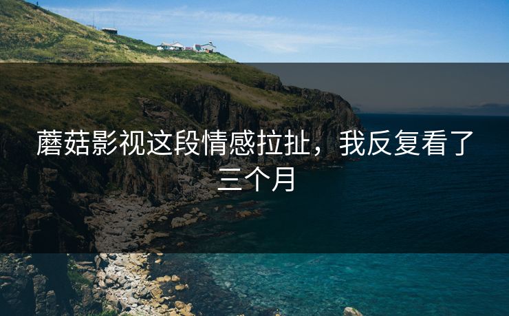 蘑菇影视这段情感拉扯，我反复看了三个月